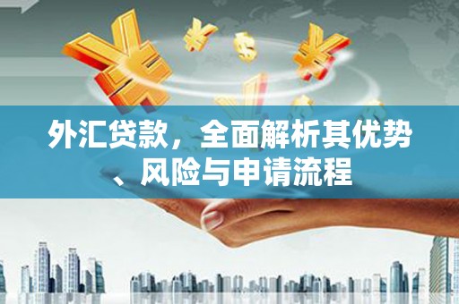 名山外汇贷款，全面解析其优势、风险与申请流程