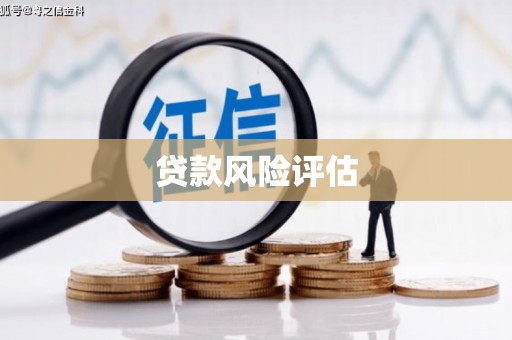 名山贷款风险评估