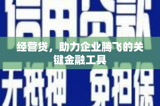 名山经营贷，助力企业腾飞的关键金融工具
