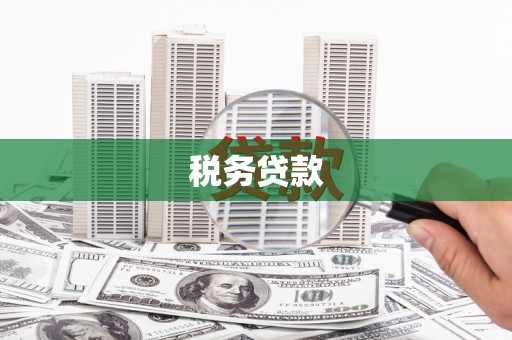 名山税务贷款