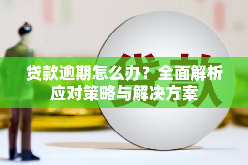 名山贷款逾期怎么办？全面解析应对策略与解决方案