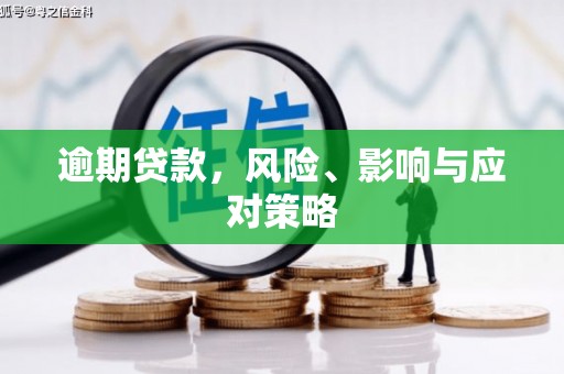 名山逾期贷款，风险、影响与应对策略