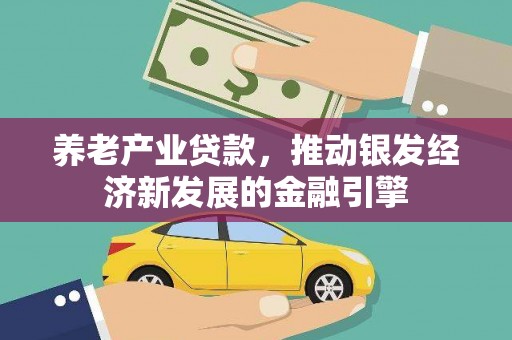 名山养老产业贷款，推动银发经济新发展的金融引擎