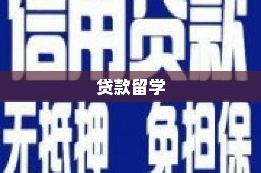 名山贷款留学