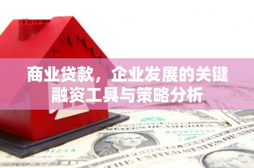 名山商业贷款，企业发展的关键融资工具与策略分析