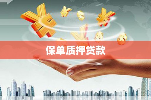名山保单质押贷款