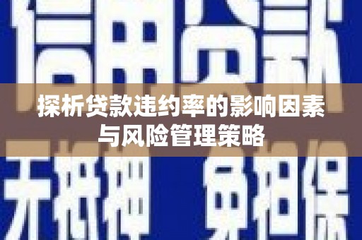 名山探析贷款违约率的影响因素与风险管理策略