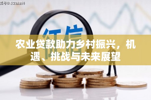 名山农业贷款助力乡村振兴，机遇、挑战与未来展望
