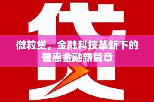 名山微粒贷，金融科技革新下的普惠金融新篇章