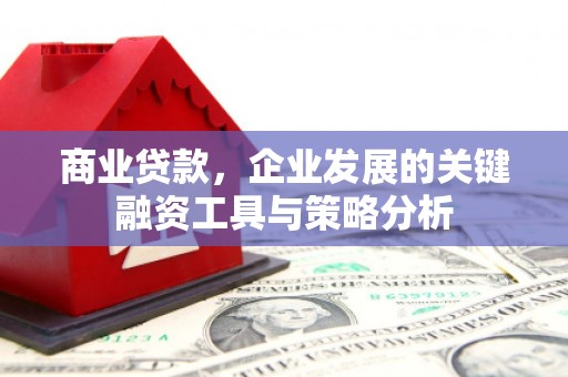 名山商业贷款，企业发展的关键融资工具与策略分析