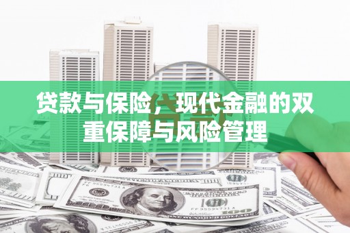 名山贷款与保险，现代金融的双重保障与风险管理