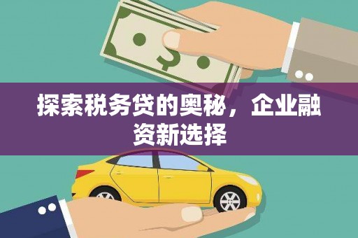 名山探索税务贷的奥秘，企业融资新选择