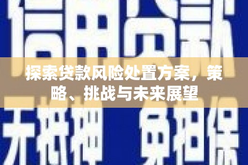 名山探索贷款风险处置方案，策略、挑战与未来展望