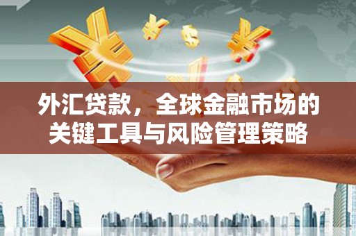 名山外汇贷款，全球金融市场的关键工具与风险管理策略