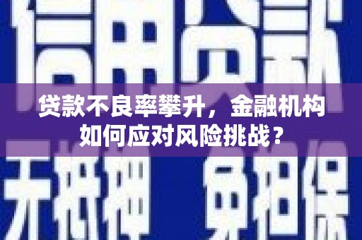 名山贷款不良率攀升，金融机构如何应对风险挑战？