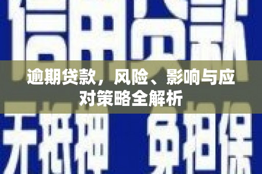 名山逾期贷款，风险、影响与应对策略全解析