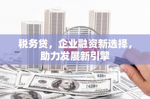 名山税务贷，企业融资新选择，助力发展新引擎