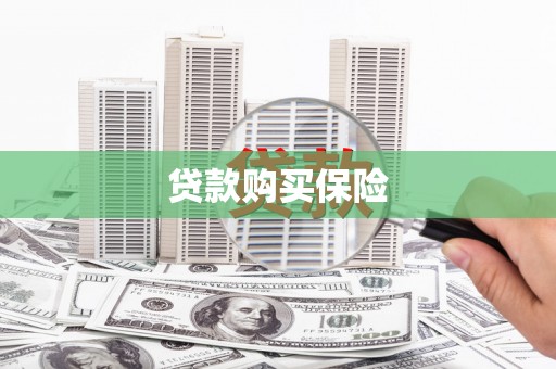名山贷款购买保险