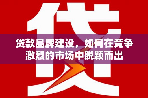 名山贷款品牌建设，如何在竞争激烈的市场中脱颖而出