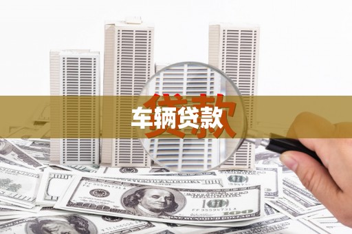 名山车辆贷款