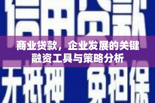 名山商业贷款，企业发展的关键融资工具与策略分析