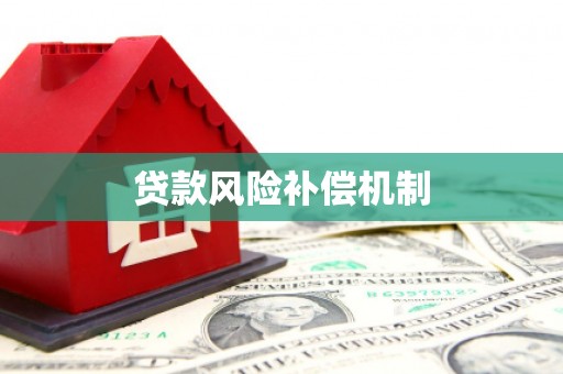 名山贷款风险补偿机制