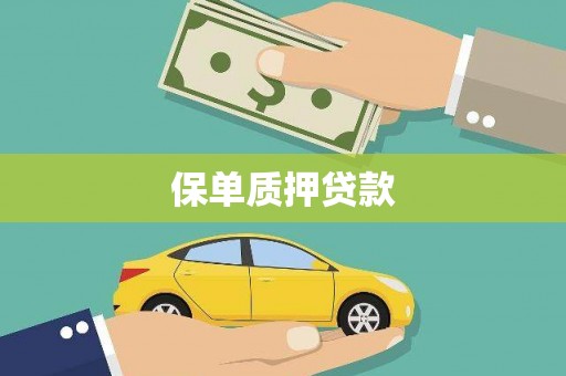 名山保单质押贷款