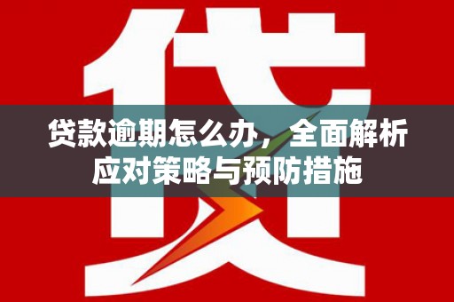 名山贷款逾期怎么办，全面解析应对策略与预防措施