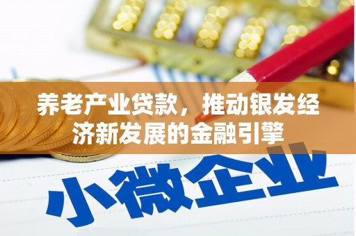 名山养老产业贷款，推动银发经济新发展的金融引擎