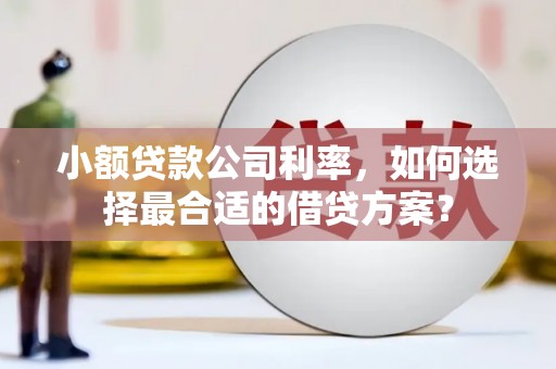 名山小额贷款公司利率，如何选择最合适的借贷方案？