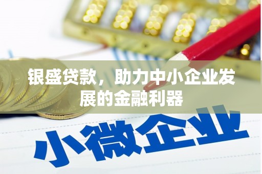 名山银盛贷款，助力中小企业发展的金融利器