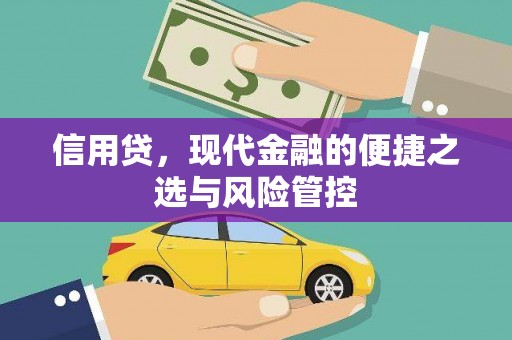 名山信用贷，现代金融的便捷之选与风险管控