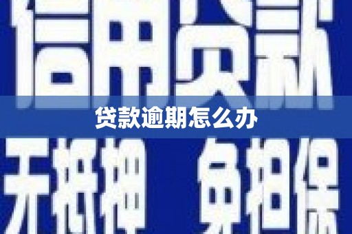 名山贷款逾期怎么办