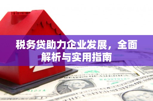 名山税务贷助力企业发展，全面解析与实用指南