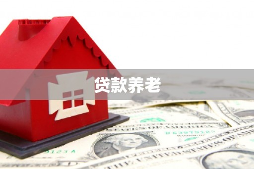 名山贷款养老