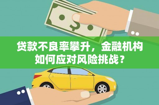 名山贷款不良率攀升，金融机构如何应对风险挑战？