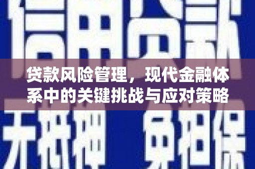 名山贷款风险管理，现代金融体系中的关键挑战与应对策略