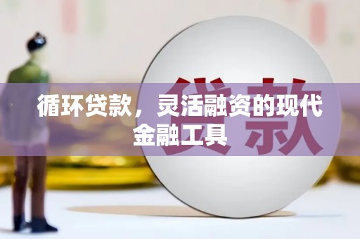 名山循环贷款，灵活融资的现代金融工具